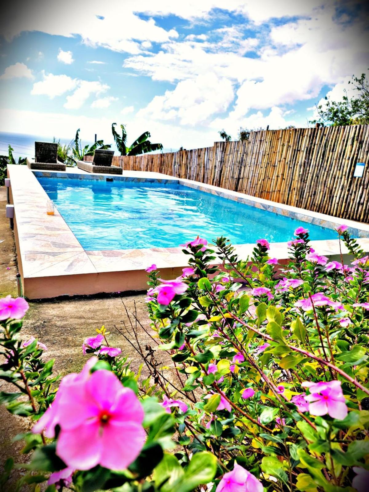 Appartamento Desired View Choiseul Esterno foto